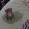 sly's profile picture