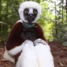 Profilbild von Pelly