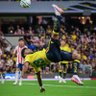 16🦅💛💙 的头像