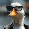 Dan (: profil fotoğrafı