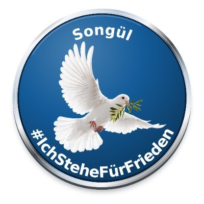 Songül 🕊️ Klarname's profile picture