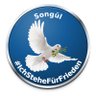 Songül 🕊️ Klarname's profile picture