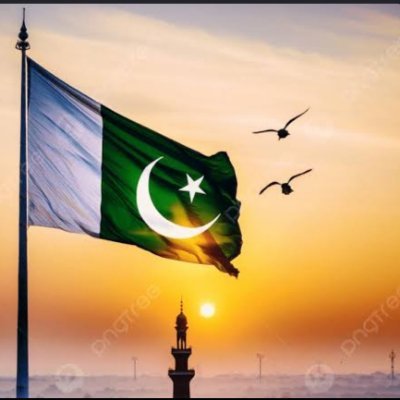 KanwalMna's profile picture