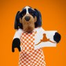 All Vol 'Til I Fall! #HornsDown #GBO 🍊🍊🍊's profile picture
