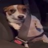 mariana⁷ 𝜗𝜚 ⊙⊝⊜'s profile picture