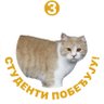 stefma 🇷🇸 profil fotoğrafı