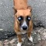 bodwbepbo profil fotoğrafı