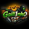 Gaill1nh0 的头像