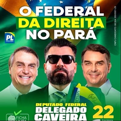 Delegado Caveira's profile picture