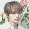 𝐁𝐋𝐎𝐎𝐌𝒾𝓃𝑔 𝕄ᴜꜱᴇ 𝐒𝐚𝐧𝐚 🌼's profile picture
