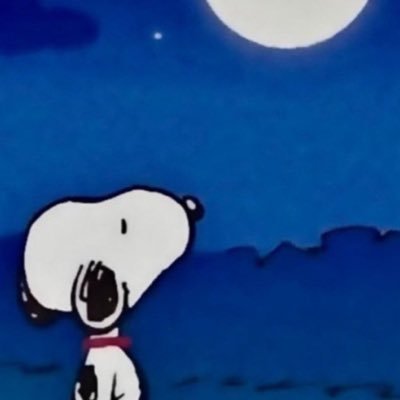 joyfulolol's profile picture