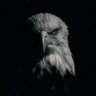 Фото профиля Muhammed Enes Helva