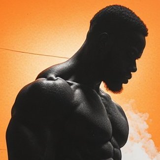 Bnwo_Enforcer's profile picture