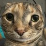 ed_gar's profile picture