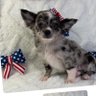 KittyRancher 🇺🇸 的头像