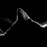 ꜱʜᴀʜʟᴀ profil fotoğrafı
