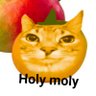 The_zoop_store's profile picture
