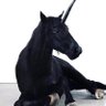 Cameron's profile picture