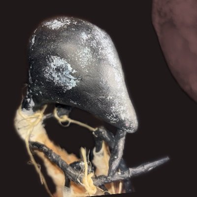 brakence's profile picture