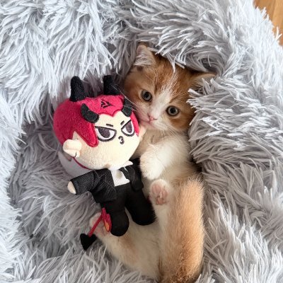 Pannita37900204's profile picture