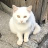 こうき profil fotoğrafı
