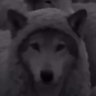 Profilbild von AA