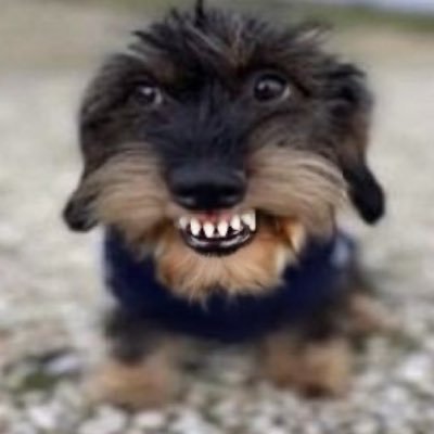 Nivison lennon ono's profile picture