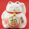 15倍株 的头像