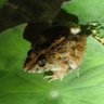 Profilbild von KrabiAndaman