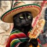 Evangeline's profile picture