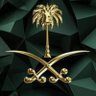 🇸🇦🇸🇦's profile picture
