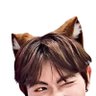 Profilbild von fox