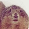 Profilbild von Shoola