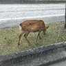 ひろ profil fotoğrafı