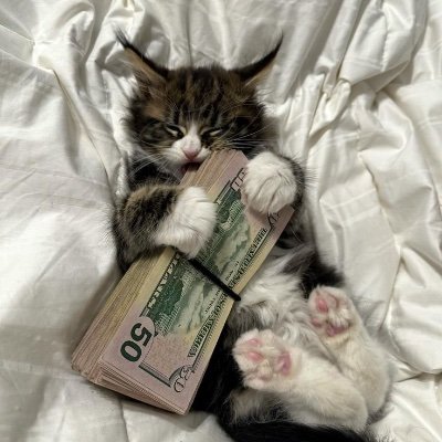 kapanukk's profile picture