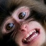 Profilbild von MOTOz