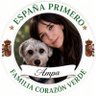 ampa profil fotoğrafı