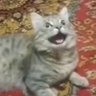 Uszhdas's profile picture