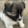 Rit profil fotoğrafı