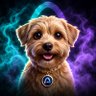 The Duke of Arc's profile picture