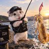 すっとこハム太郎's profile picture