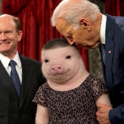 DrChristinaG91's profile picture