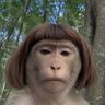 Profilbild von sampemasuk