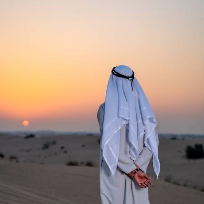 Sultan Ahmed Bin Sulayem's profile picture