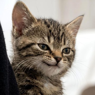 LeeRussian's profile picture