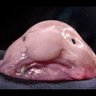 Profilbild von ？