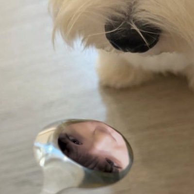 티칠's profile picture