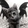 Layla profil fotoğrafı