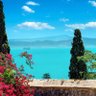 Tunis 的头像