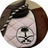 Profilbild von najmꕤ🇸🇦